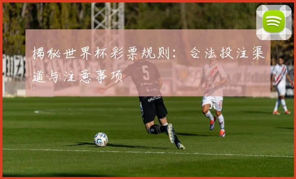揭秘世界杯彩票规则：合法投注渠道与注意事项