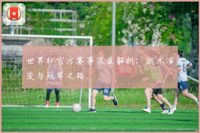 世界杯官方赛事深度解析：战术演变与冠军之路
