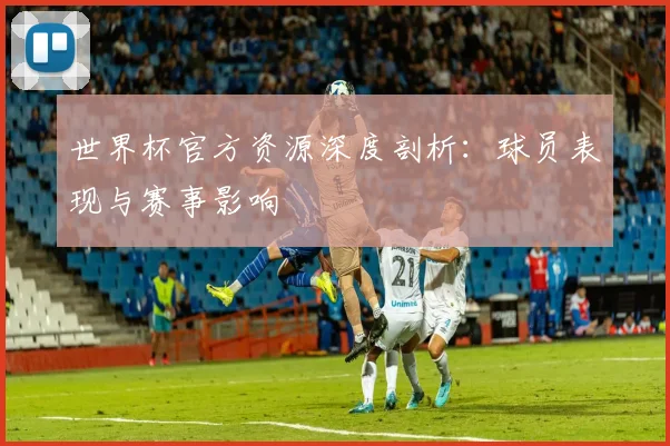 世界杯官方资源深度剖析：球员表现与赛事影响