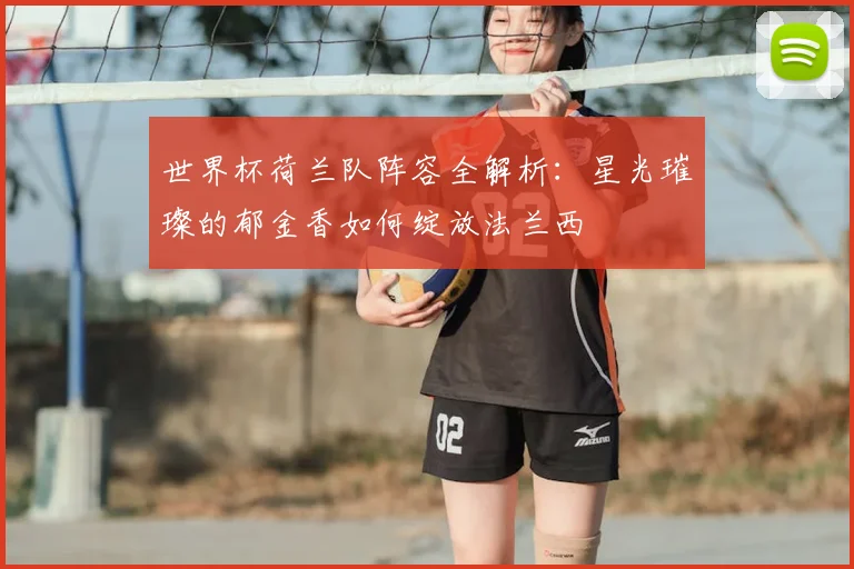 世界杯荷兰队阵容全解析：星光璀璨的郁金香如何绽放法兰西