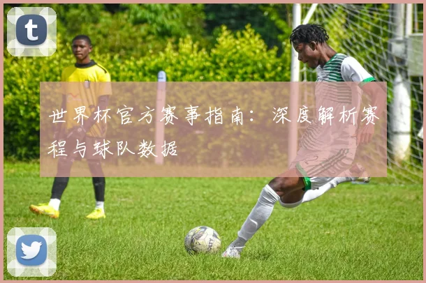 世界杯官方赛事指南：深度解析赛程与球队数据